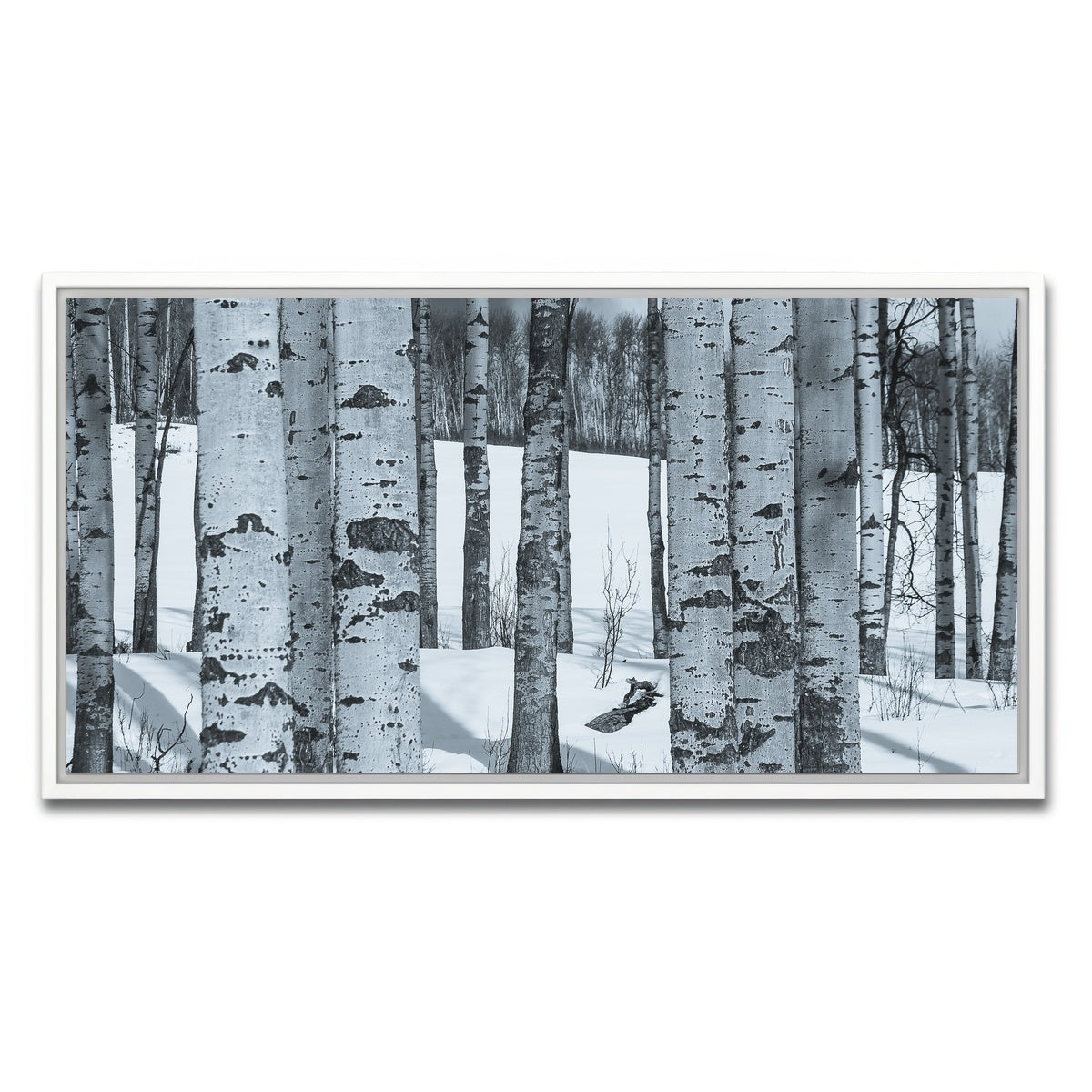 AUTO-MOCKUP WHITE | Round Lake | 1 Piece | White Framed Canvas | group=2x1