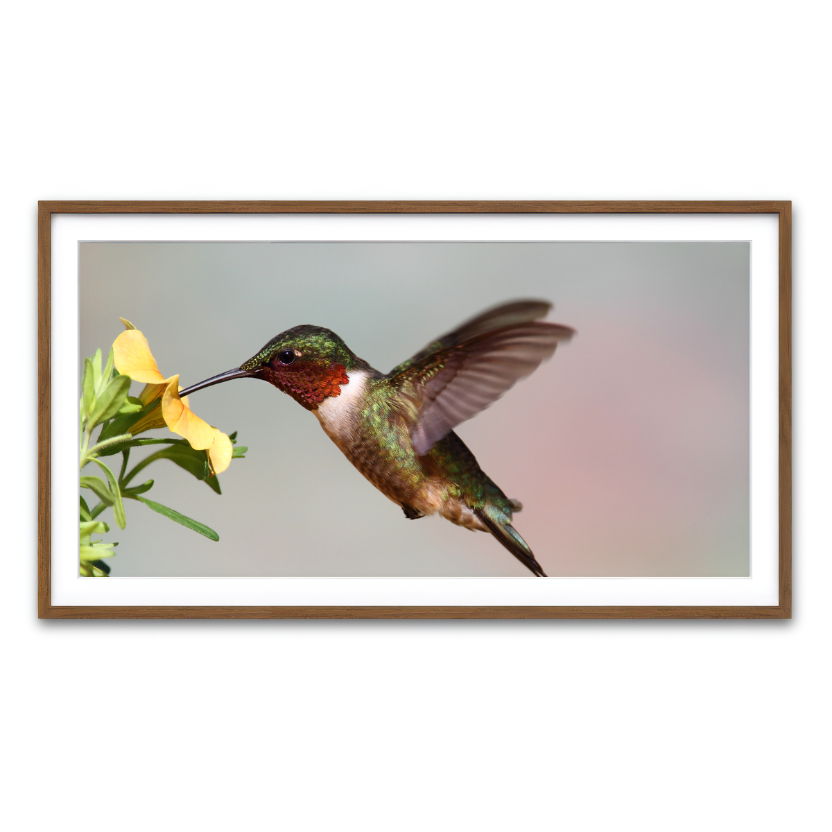 Framed Print 2x1 Walnut