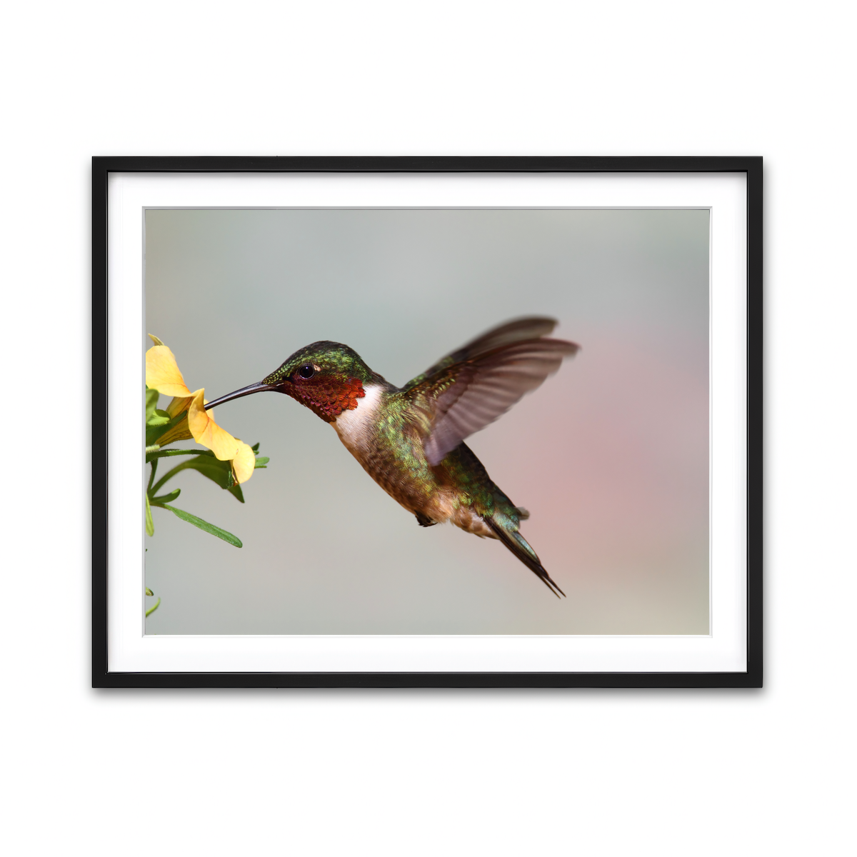 Framed Print 4x3 Black