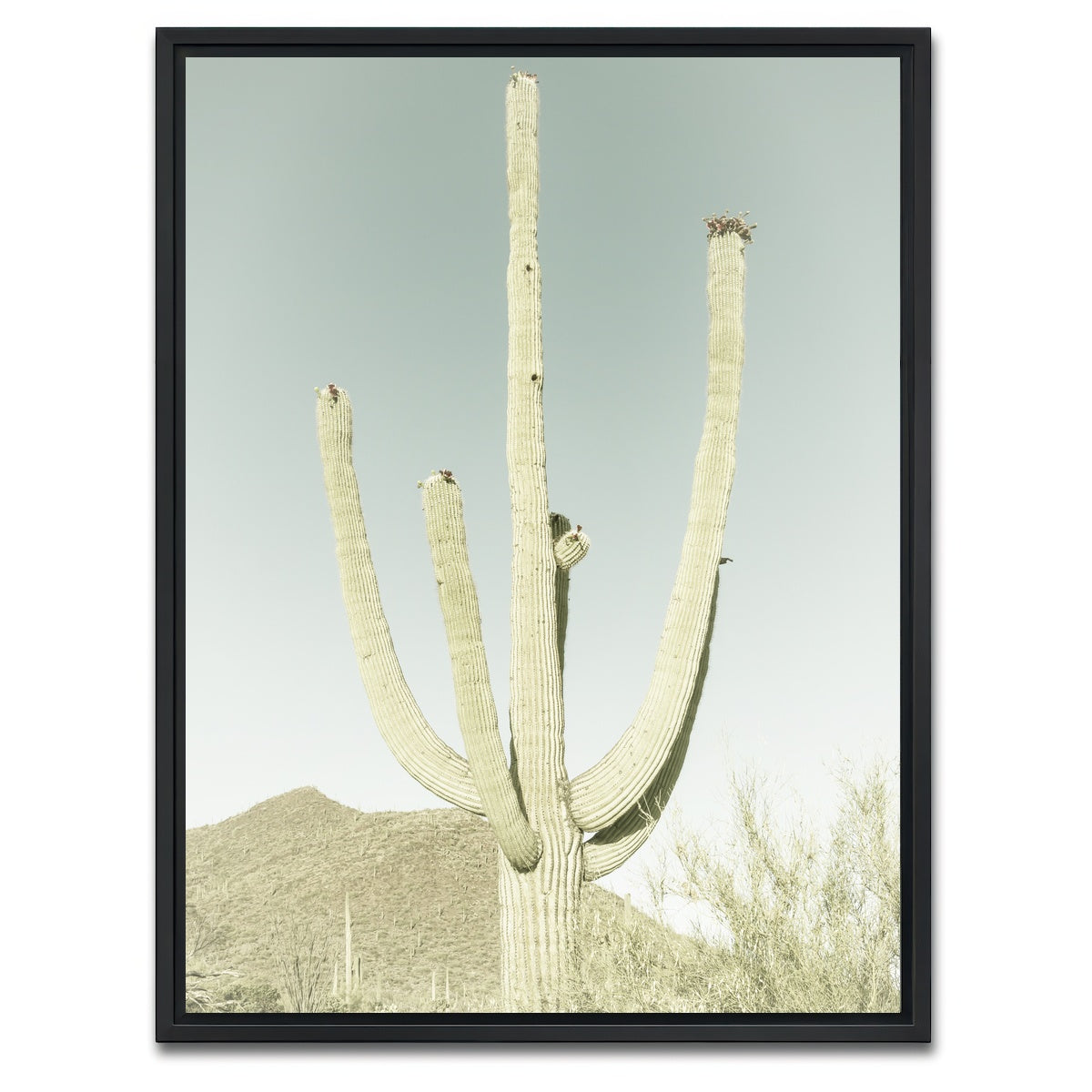 AUTO-MOCKUP WHITE | SAGUARO NATIONAL PARK Giant Saguaro | 1 Piece | Black Framed Canvas | group=3x4