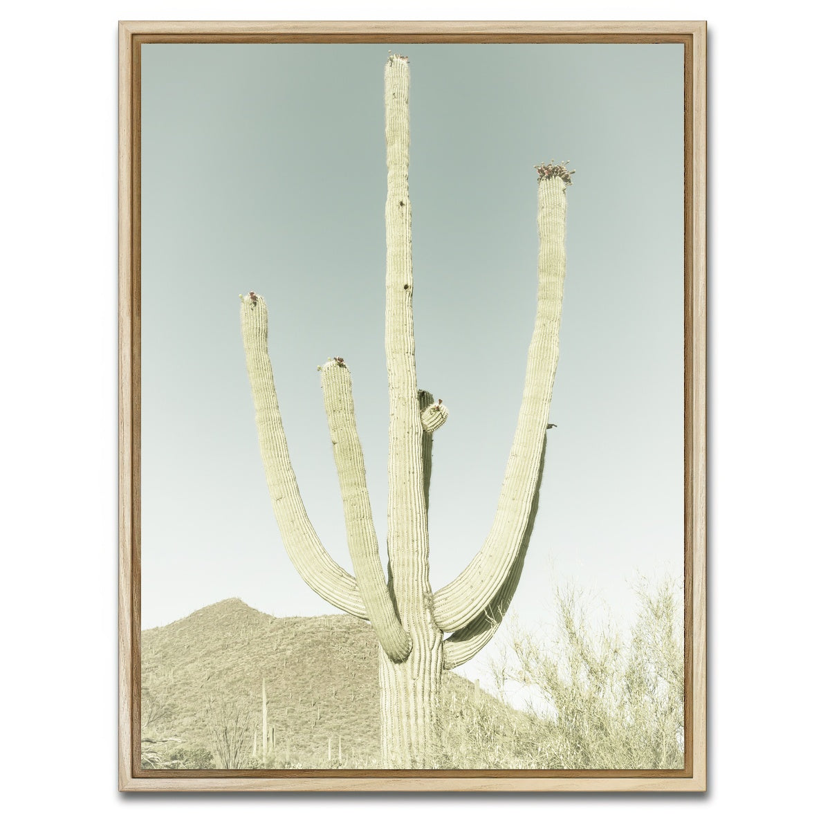 AUTO-MOCKUP WHITE | SAGUARO NATIONAL PARK Giant Saguaro | 1 Piece | Natural Framed Canvas | group=3x4