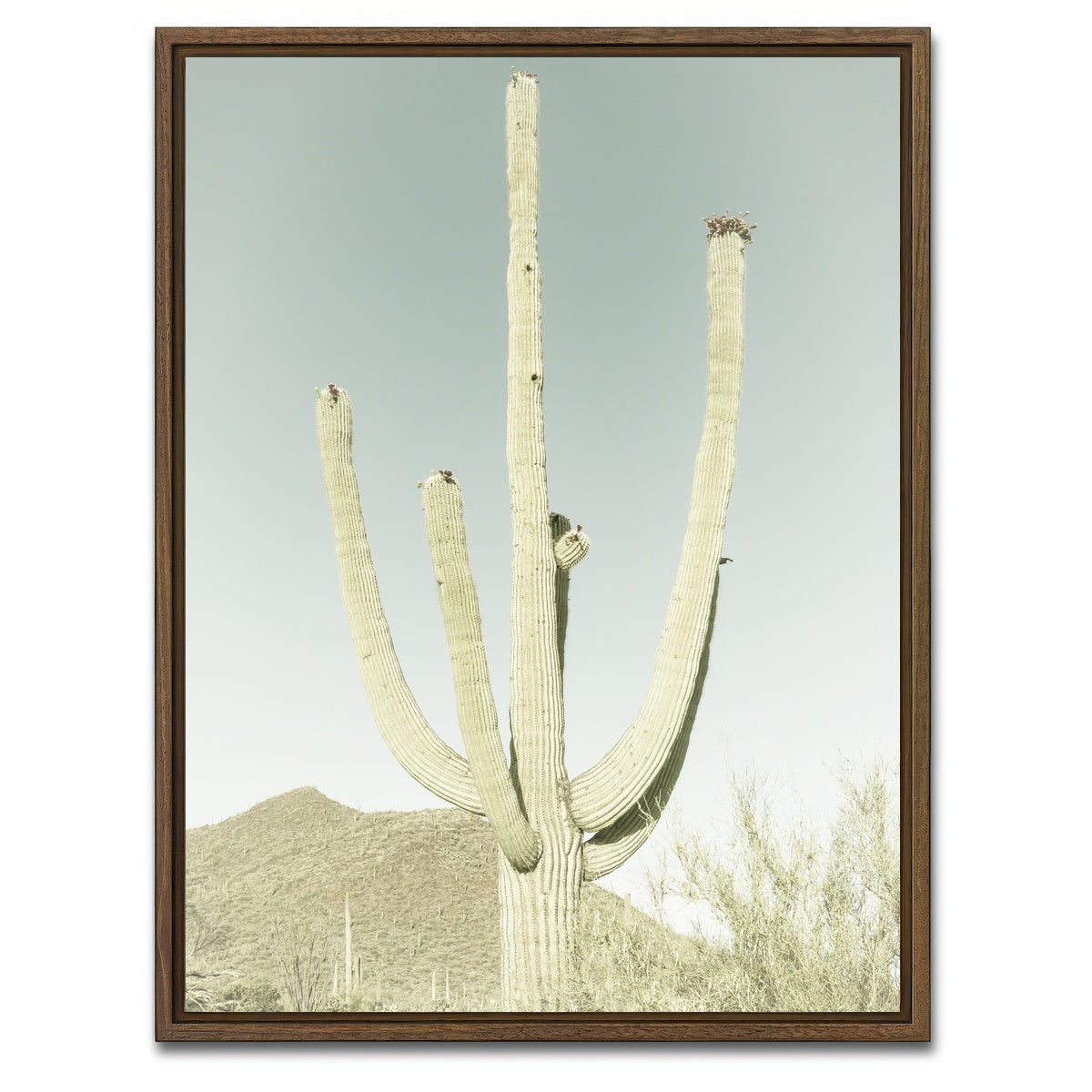 AUTO-MOCKUP WHITE | SAGUARO NATIONAL PARK Giant Saguaro | 1 Piece | Walnut Framed Canvas | group=3x4