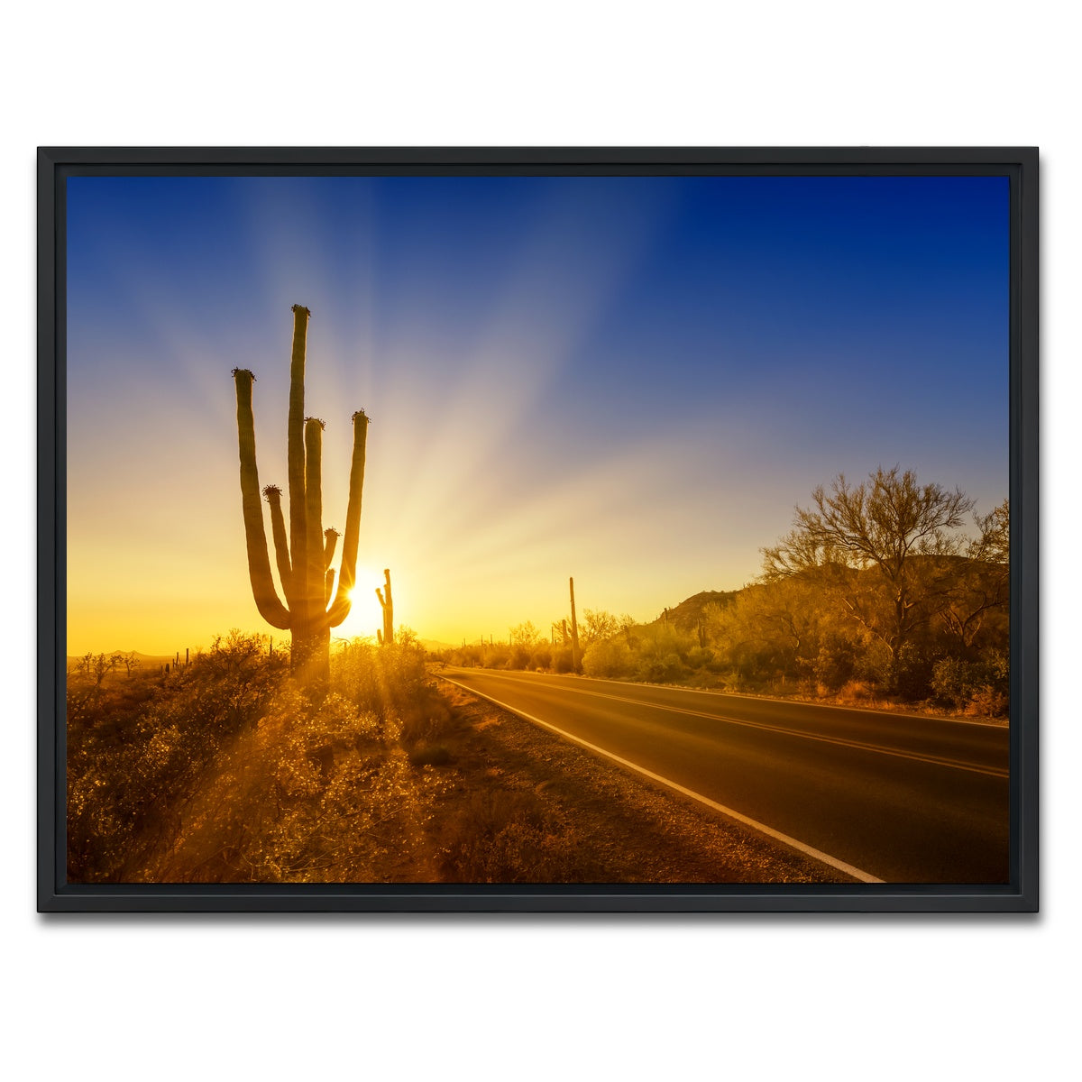 AUTO-MOCKUP WHITE | SAGUARO NATIONAL PARK Setting Sun | 1 Piece | Black Framed Canvas | group=4x3