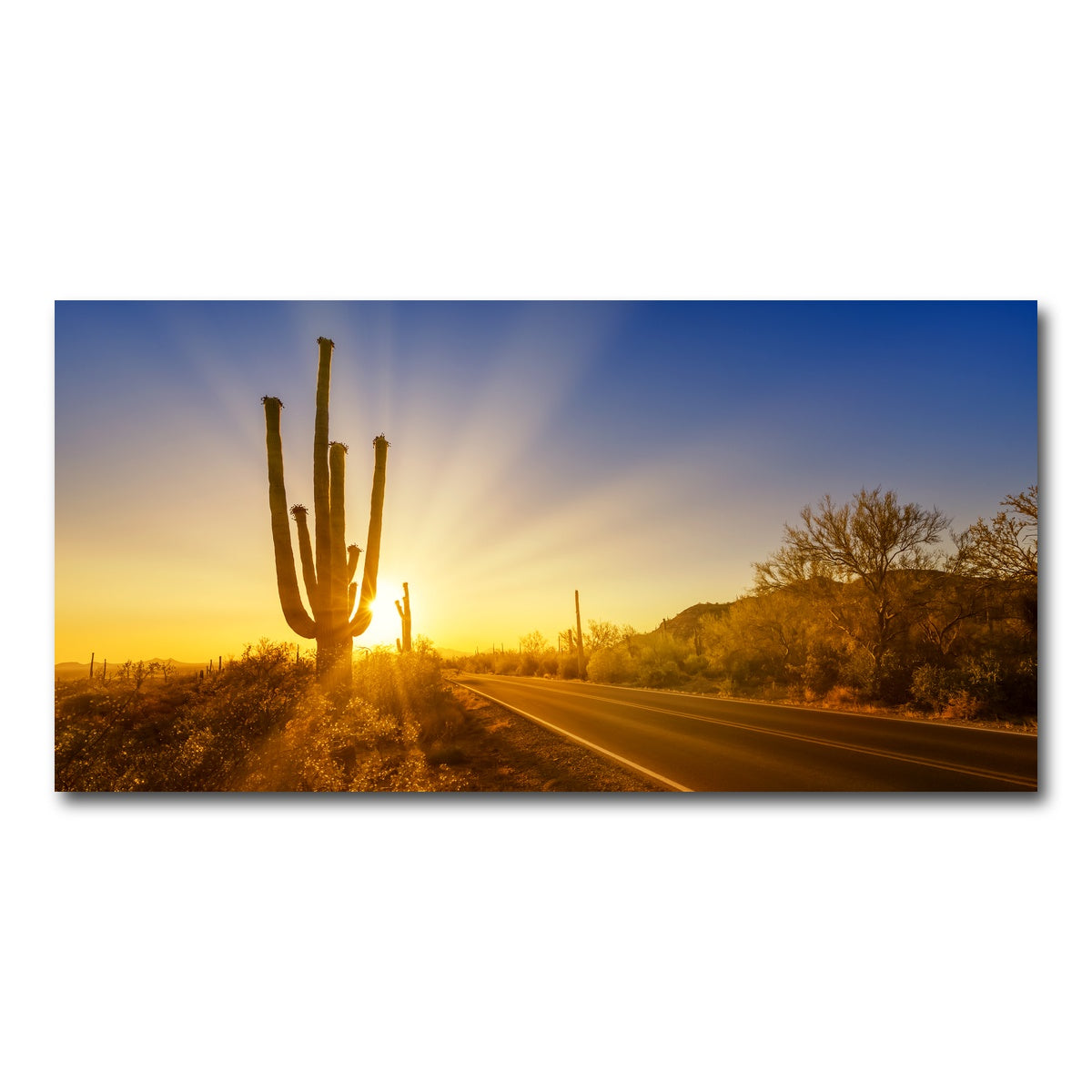 AUTO-MOCKUP WHITE | SAGUARO NATIONAL PARK Setting Sun | 1 Piece | Gallery Wrap Canvas | group=2x1