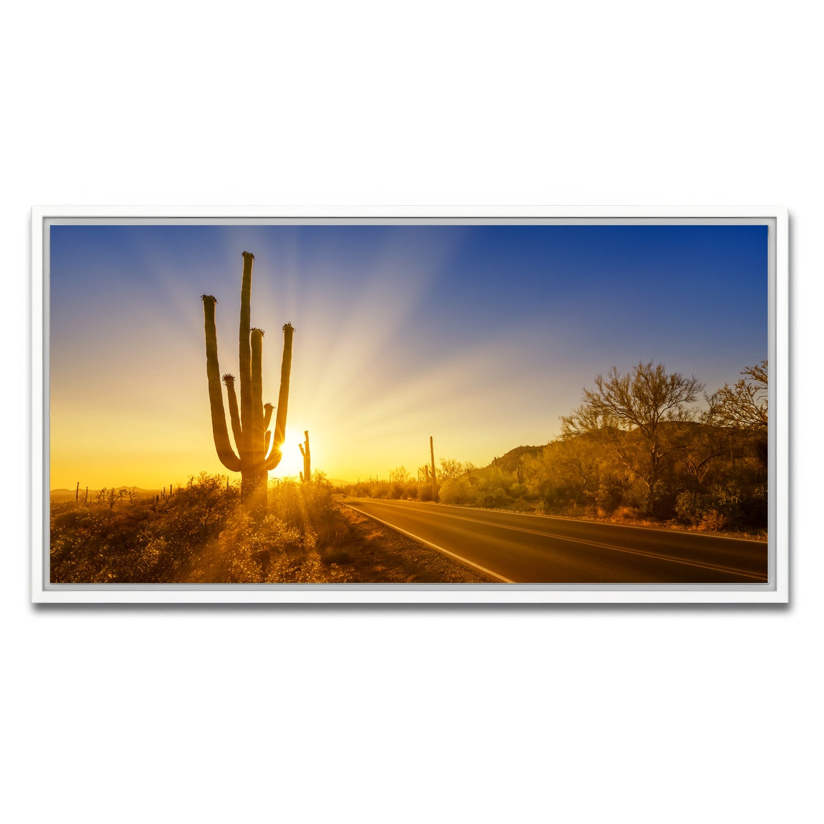 AUTO-MOCKUP WHITE | SAGUARO NATIONAL PARK Setting Sun | 1 Piece | White Framed Canvas | group=2x1