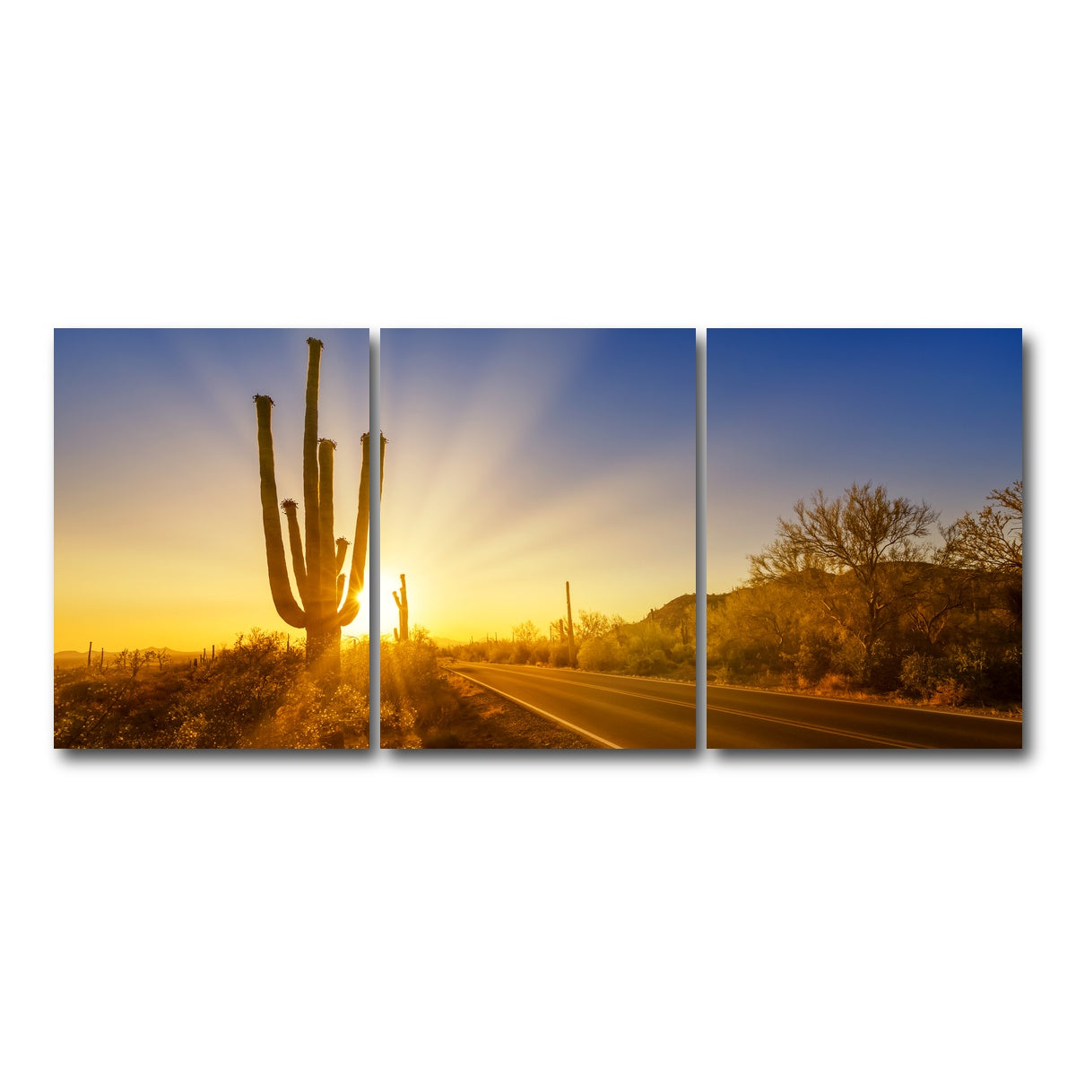 AUTO-MOCKUP WHITE | SAGUARO NATIONAL PARK Setting Sun | 3 Piece | Gallery Wrap Canvas | group=18x24