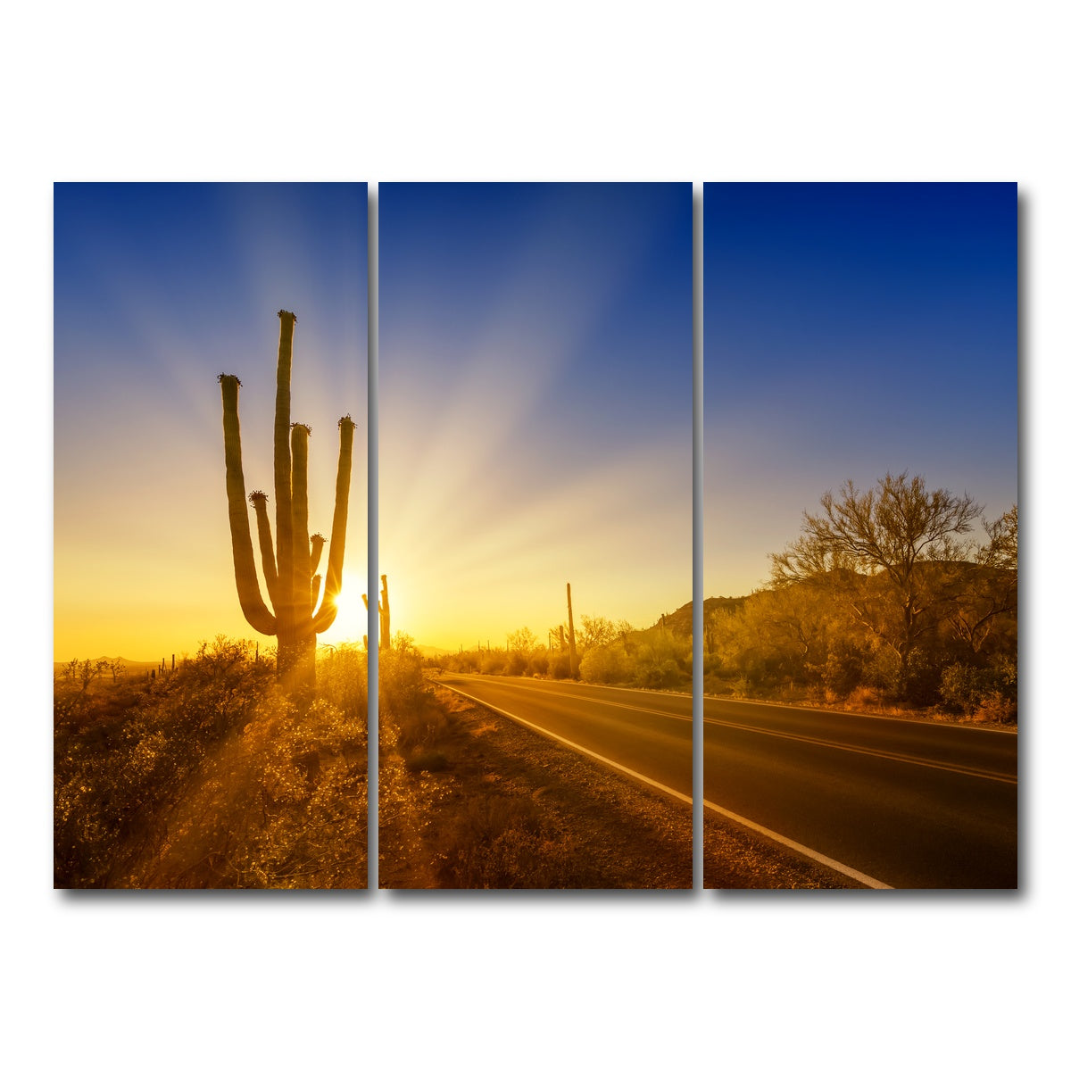 AUTO-MOCKUP WHITE | SAGUARO NATIONAL PARK Setting Sun | 3 Piece | Gallery Wrap Canvas | group=8x18