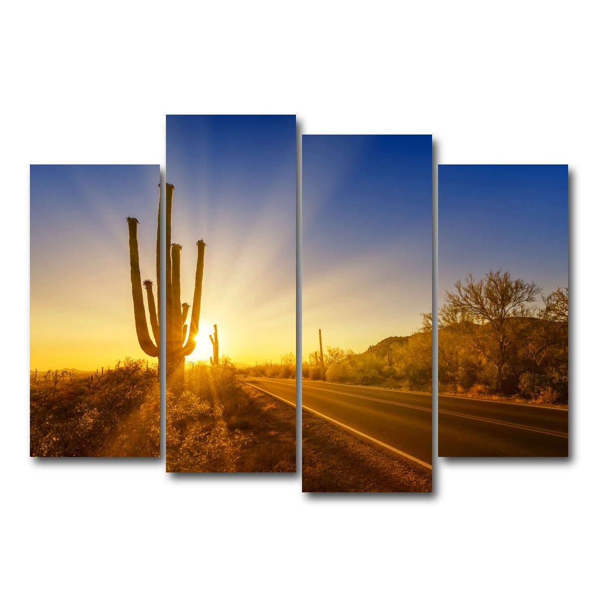 AUTO-MOCKUP WHITE | SAGUARO NATIONAL PARK Setting Sun | 4 Piece | Gallery Wrap Canvas | group=4_normal
