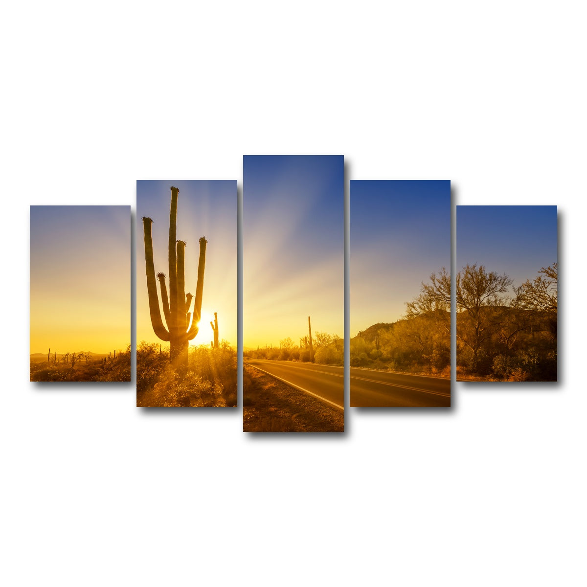 AUTO-MOCKUP WHITE | SAGUARO NATIONAL PARK Setting Sun | 5 Piece | Gallery Wrap Canvas | group=5_normal
