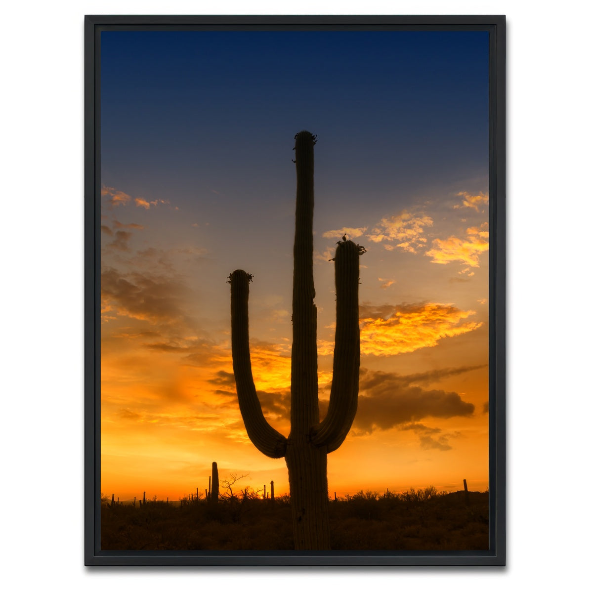 AUTO-MOCKUP WHITE | SAGUARO NATIONAL PARK Sunset | 1 Piece | Black Framed Canvas | group=3x4