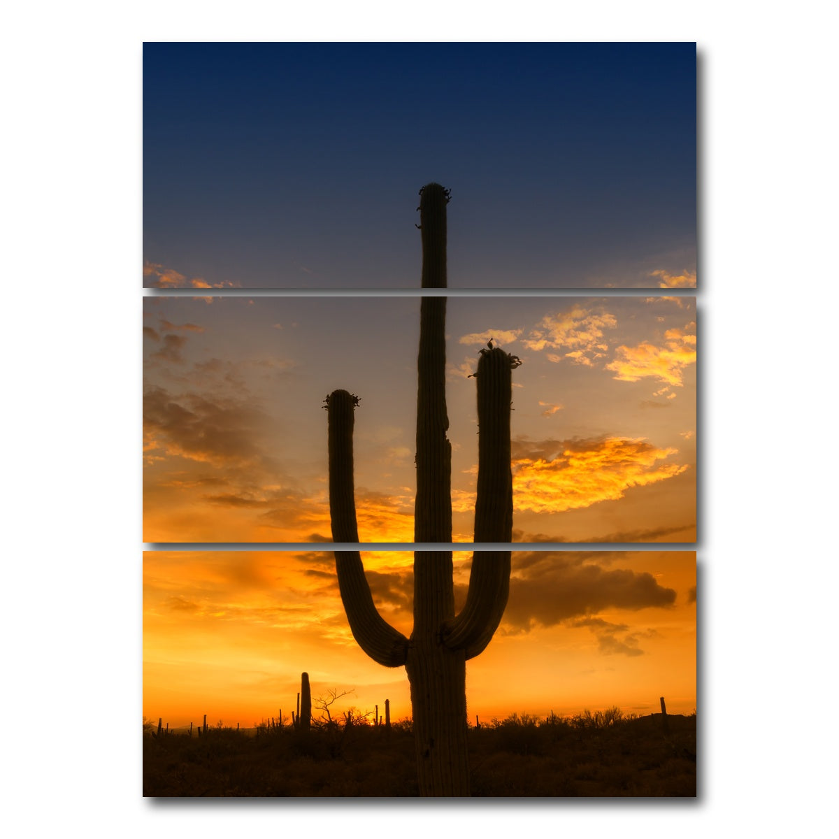 AUTO-MOCKUP WHITE | SAGUARO NATIONAL PARK Sunset | 3 Piece | Gallery Wrap Canvas | group=8x18_stacked