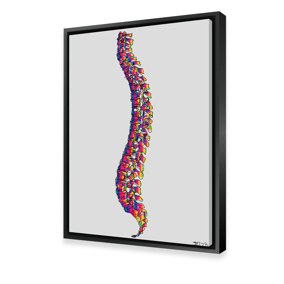 Spine Drawing Wall Art