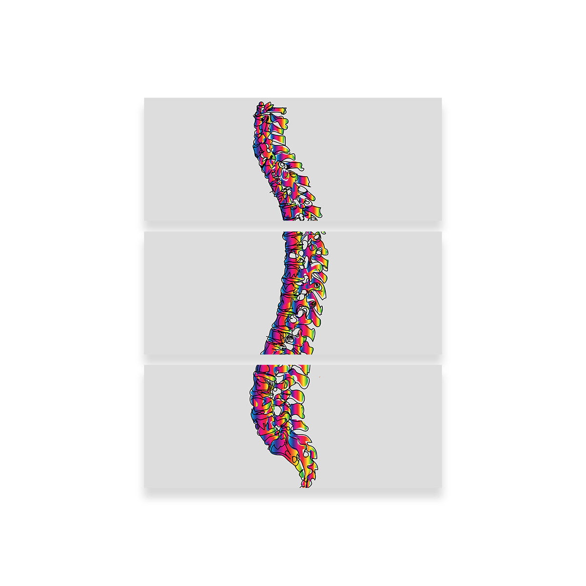 Spine Drawing Wall Art