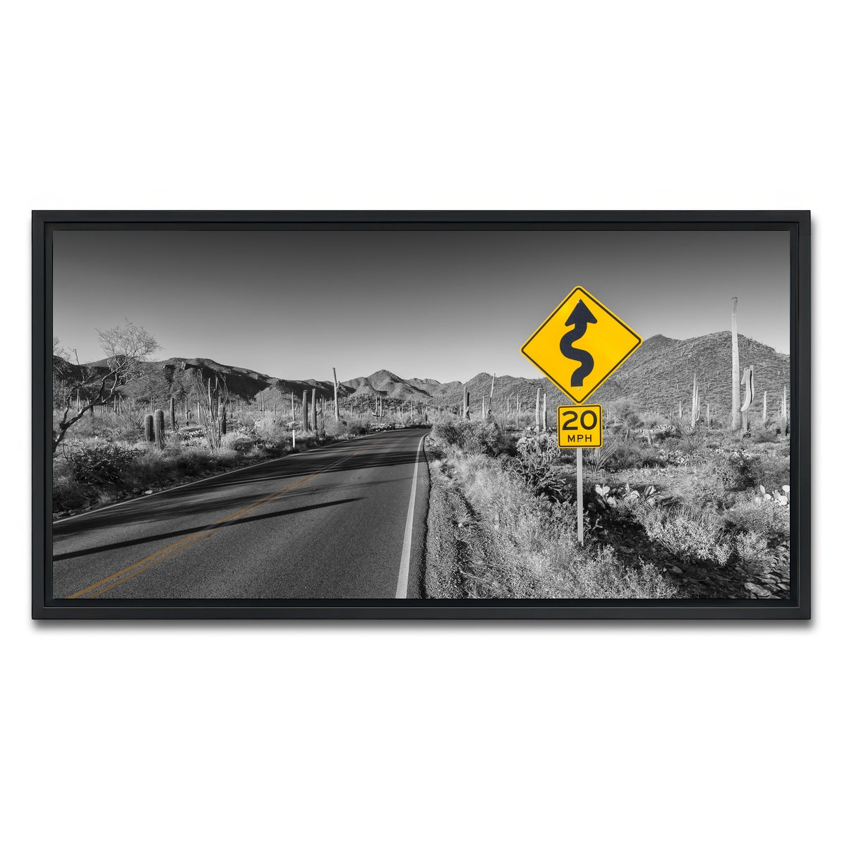 AUTO-MOCKUP WHITE | Saguaro National Park Bajada Loop Drive | 1 Piece | Black Framed Canvas | group=2x1