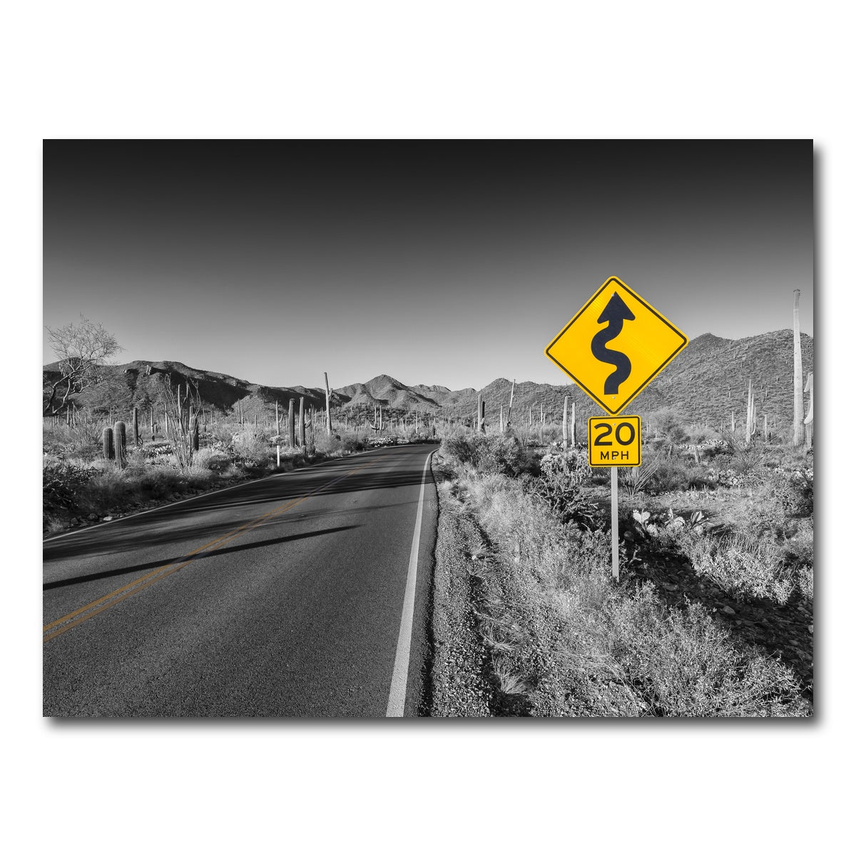 AUTO-MOCKUP WHITE | Saguaro National Park Bajada Loop Drive | 1 Piece | Gallery Wrap Canvas | group=4x3