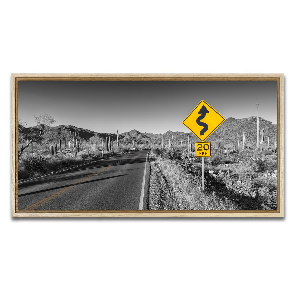 AUTO-MOCKUP WHITE | Saguaro National Park Bajada Loop Drive | 1 Piece | Natural Framed Canvas | group=2x1