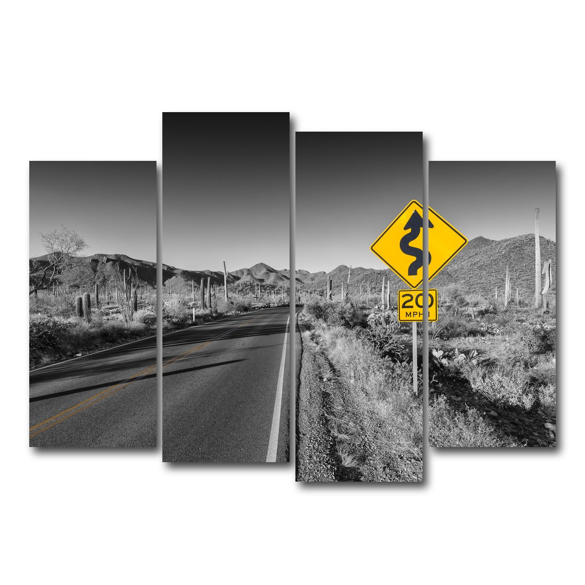 AUTO-MOCKUP WHITE | Saguaro National Park Bajada Loop Drive | 4 Piece | Gallery Wrap Canvas | group=4_normal