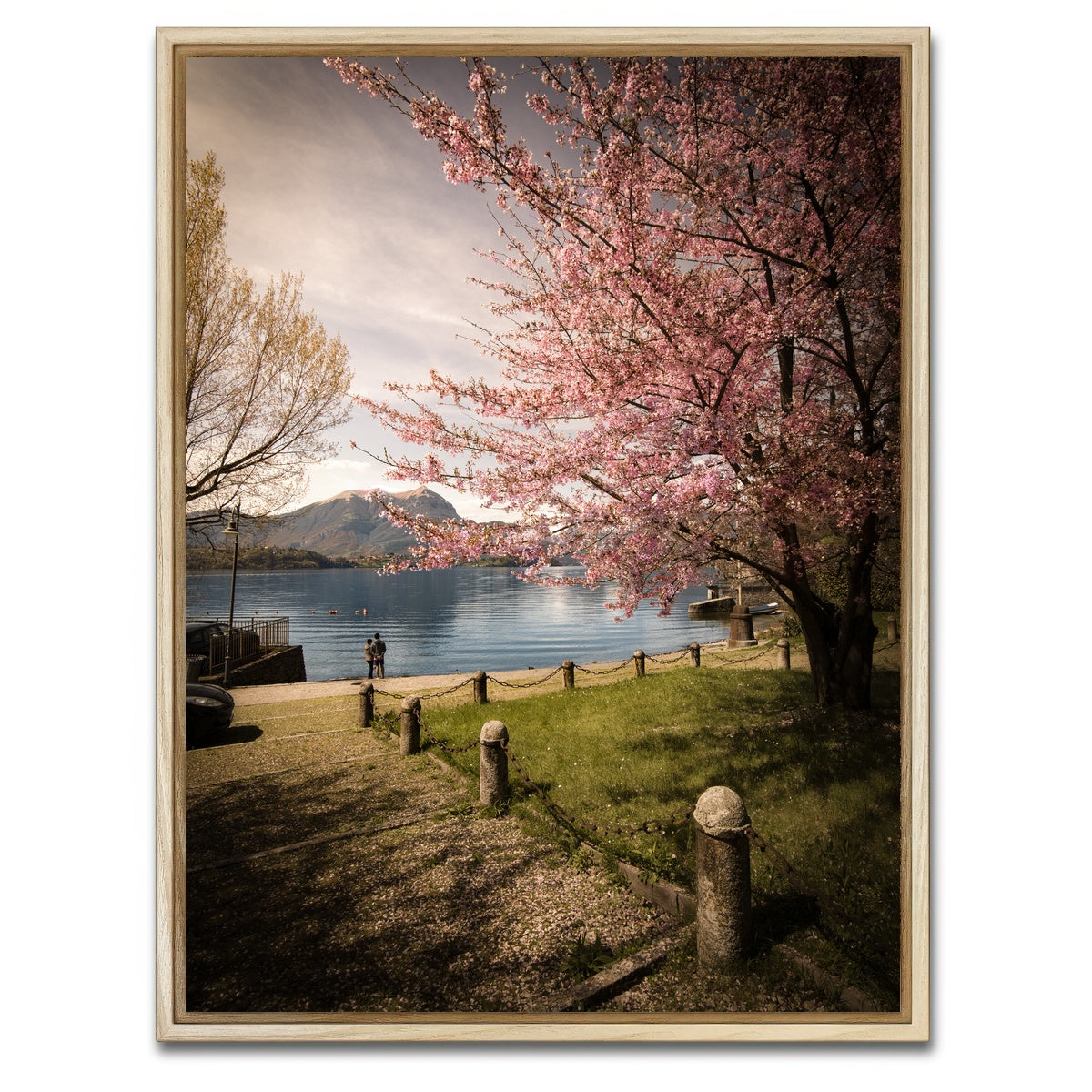 AUTO-MOCKUP WHITE | Sakura on Lake Como | 1 Piece | Natural Framed Canvas | group=3x4