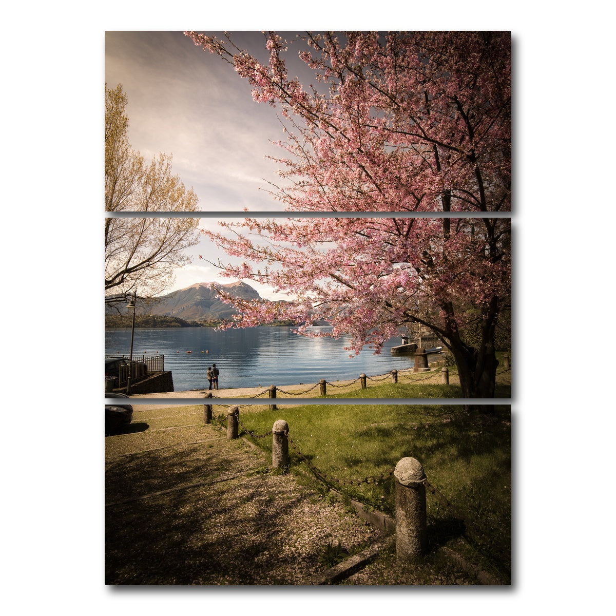AUTO-MOCKUP WHITE | Sakura on Lake Como | 3 Piece | Gallery Wrap Canvas | group=8x18_stacked