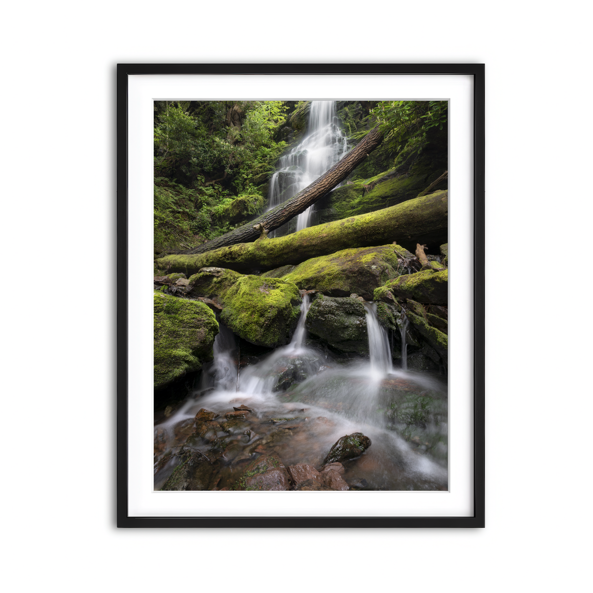Framed Print 3x4 Black