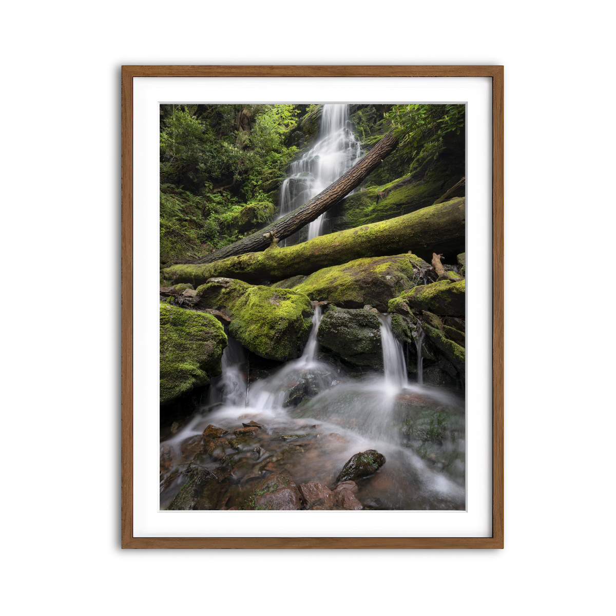Framed Print 3x4 Walnut