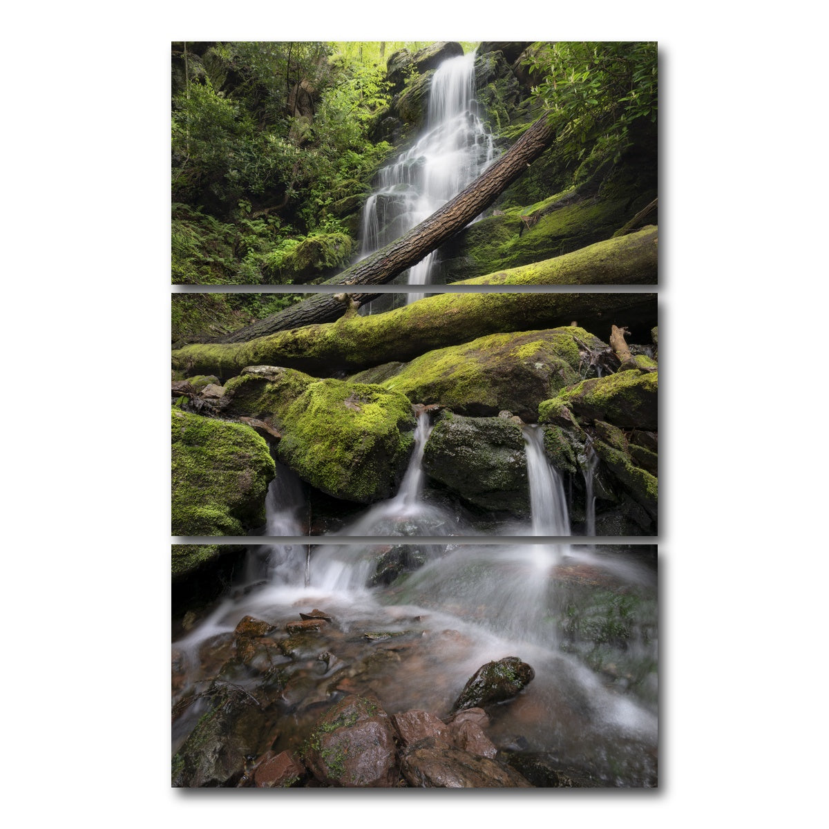 AUTO-MOCKUP WHITE | Salamander's Lair | 3 Piece | Gallery Wrap Canvas | group=12x24_stacked