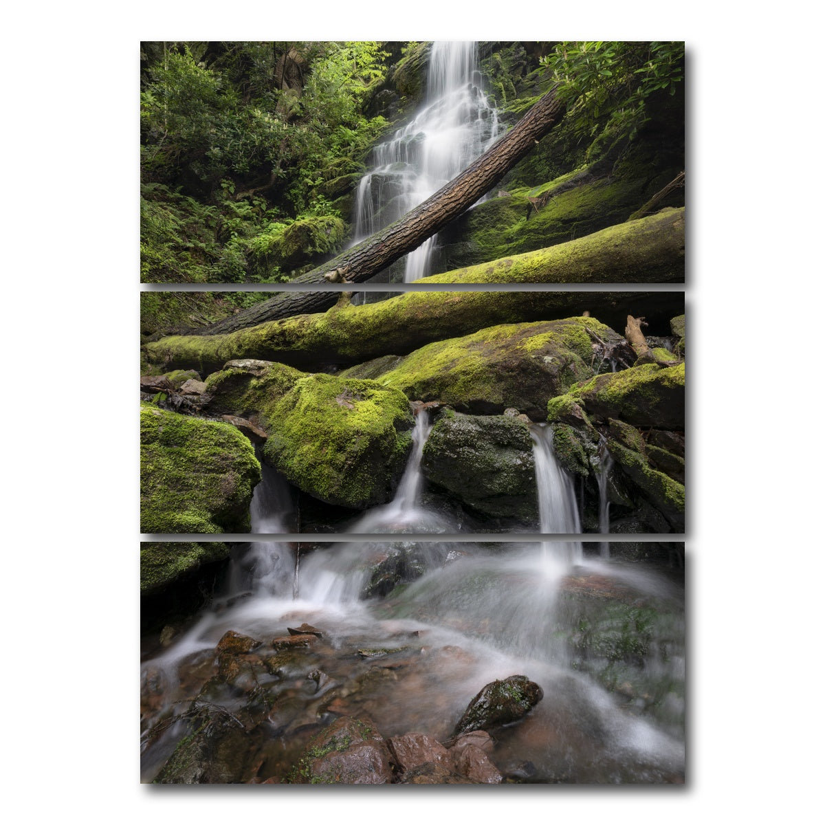 AUTO-MOCKUP WHITE | Salamander's Lair | 3 Piece | Gallery Wrap Canvas | group=8x18_stacked