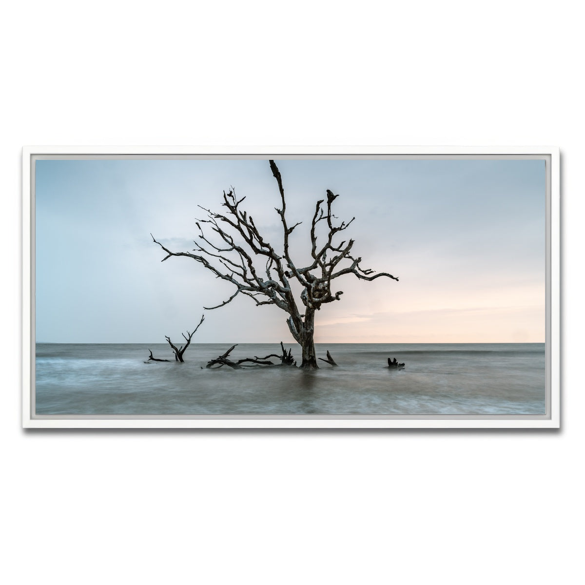 AUTO-MOCKUP WHITE | Salt Tree | 1 Piece | White Framed Canvas | group=2x1