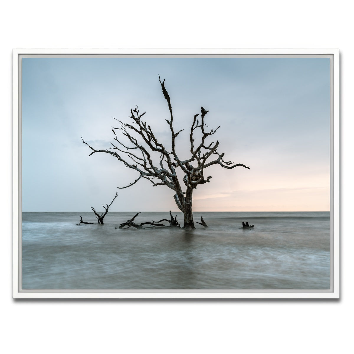 AUTO-MOCKUP WHITE | Salt Tree | 1 Piece | White Framed Canvas | group=4x3