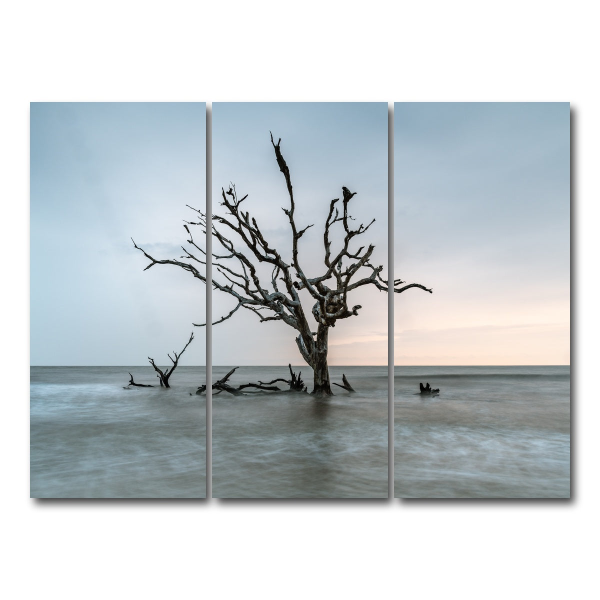 AUTO-MOCKUP WHITE | Salt Tree | 3 Piece | Gallery Wrap Canvas | group=8x18