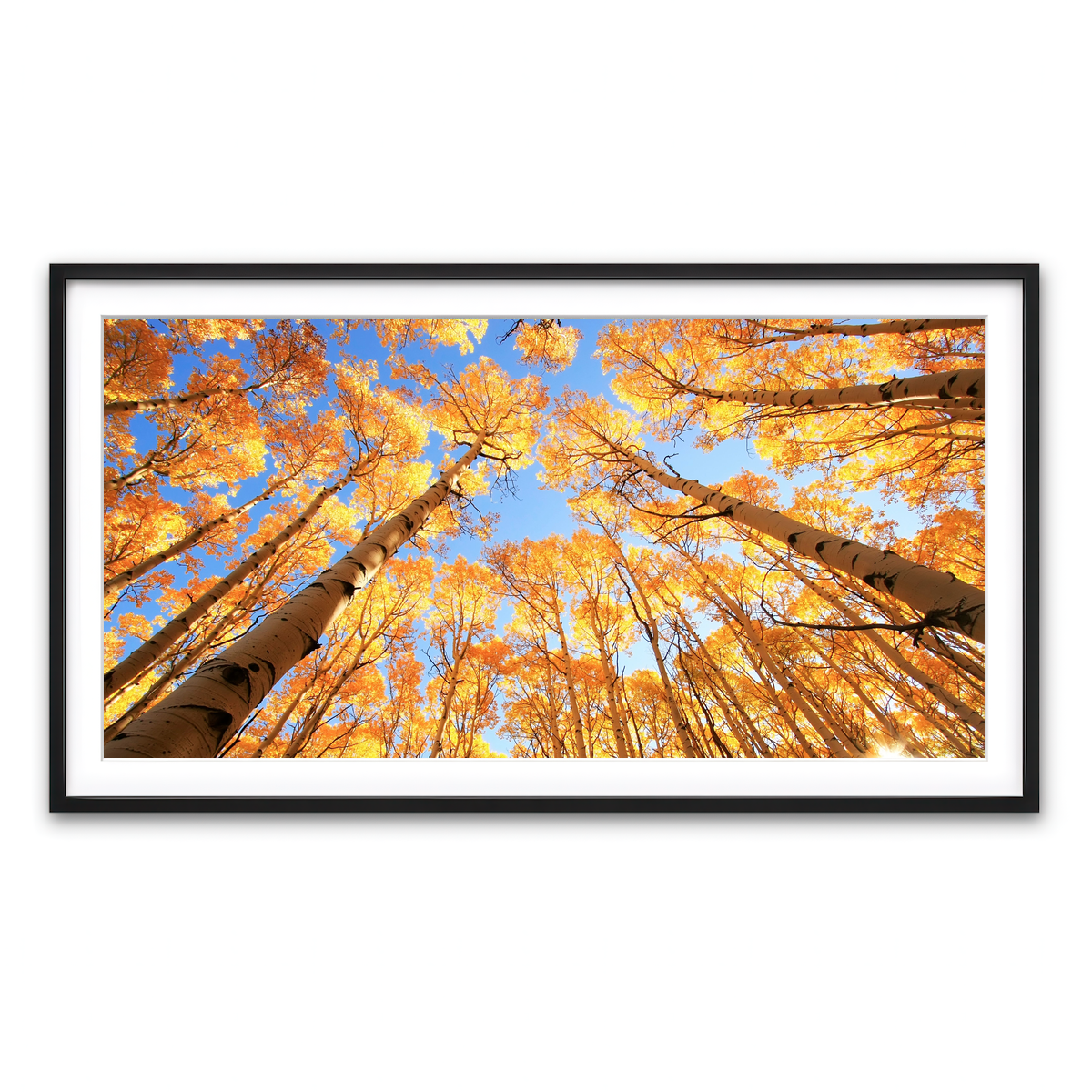 Framed Print 2x1 Black