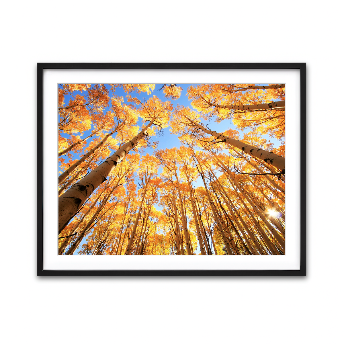 Framed Print 4x3 Black