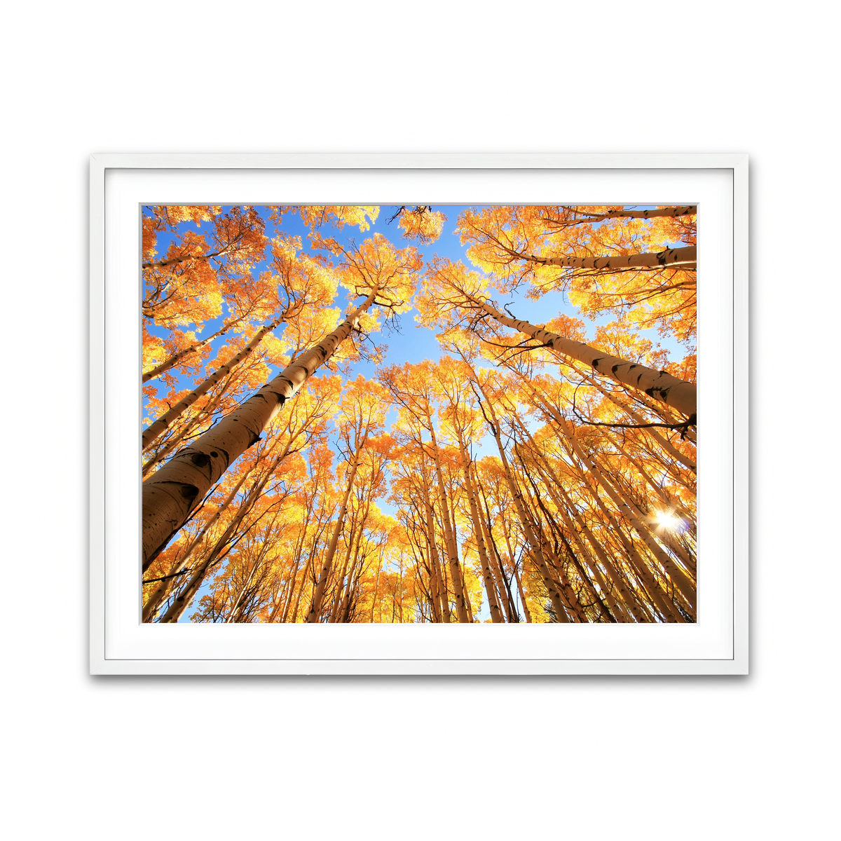Framed Print 4x3 White