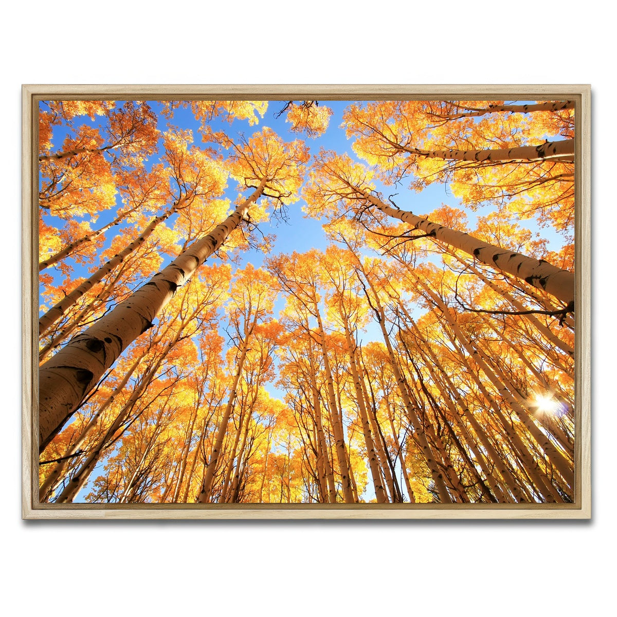 AUTO-MOCKUP WHITE | San Juan Aspens | 1 Piece | Natural Framed Canvas | group=4x3