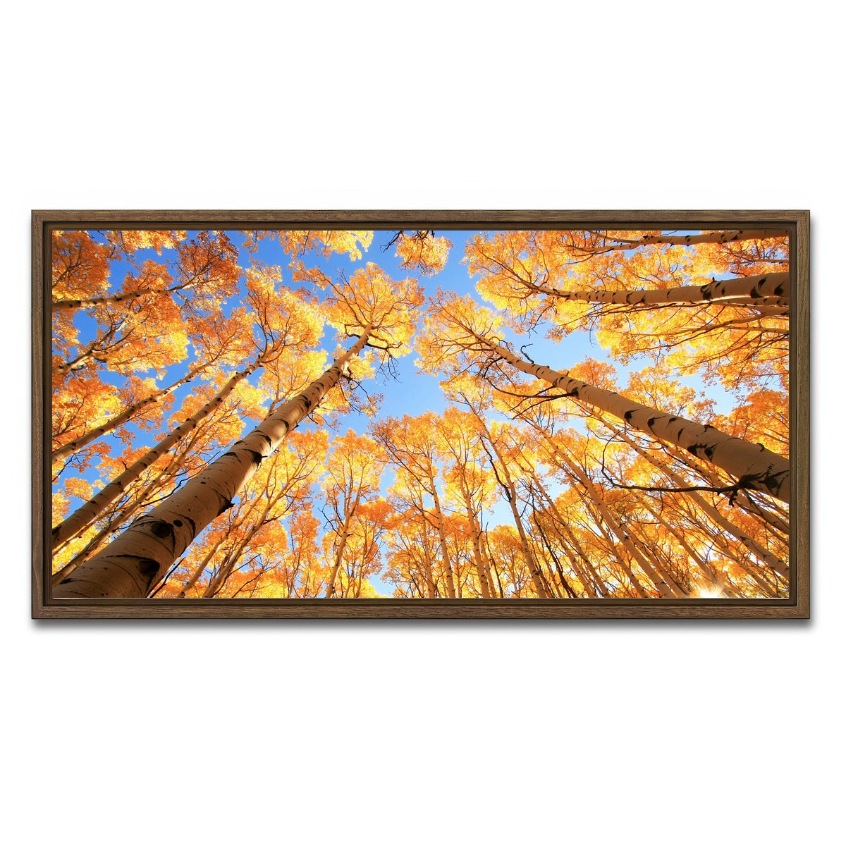AUTO-MOCKUP WHITE | San Juan Aspens | 1 Piece | Walnut Framed Canvas | group=2x1
