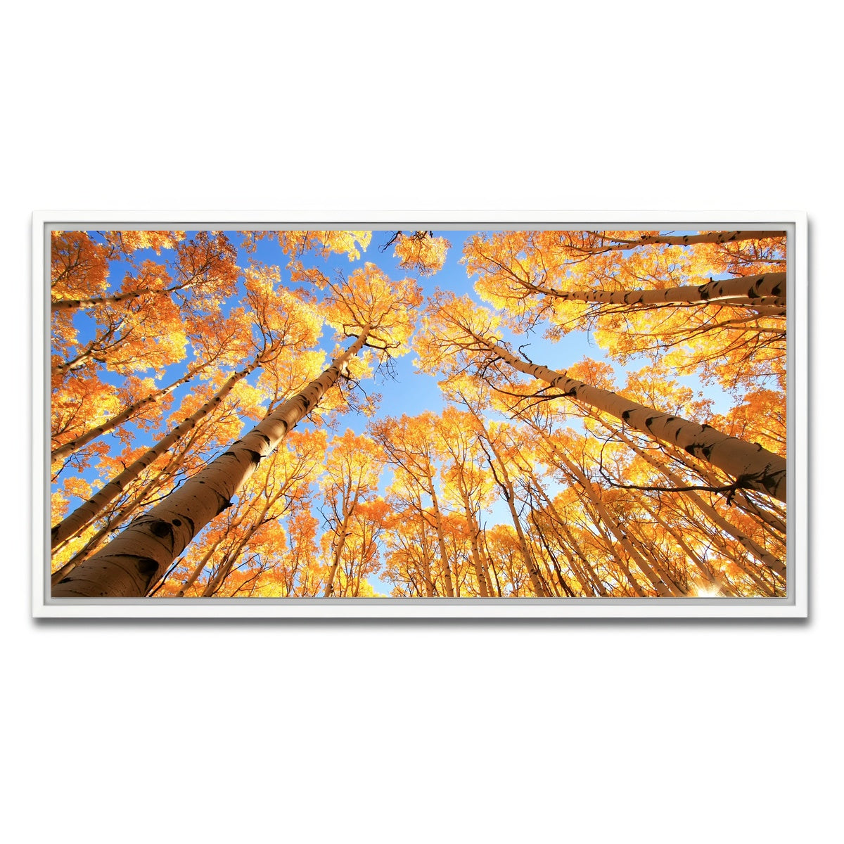 AUTO-MOCKUP WHITE | San Juan Aspens | 1 Piece | White Framed Canvas | group=2x1