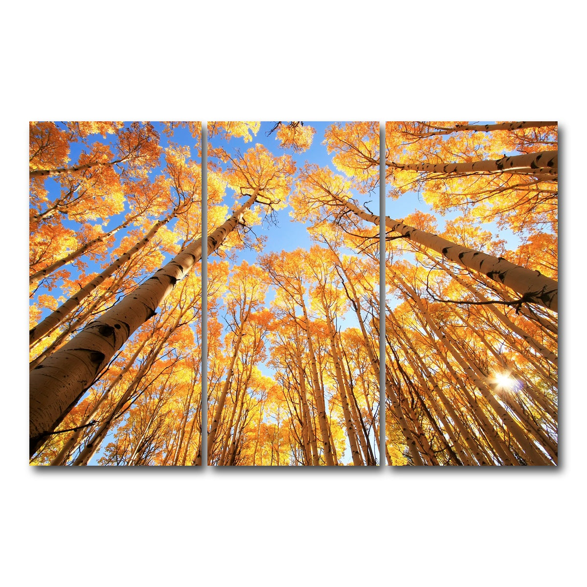 AUTO-MOCKUP WHITE | San Juan Aspens | 3 Piece | Gallery Wrap Canvas | group=12x24