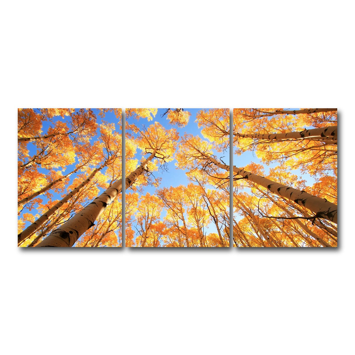 AUTO-MOCKUP WHITE | San Juan Aspens | 3 Piece | Gallery Wrap Canvas | group=18x24