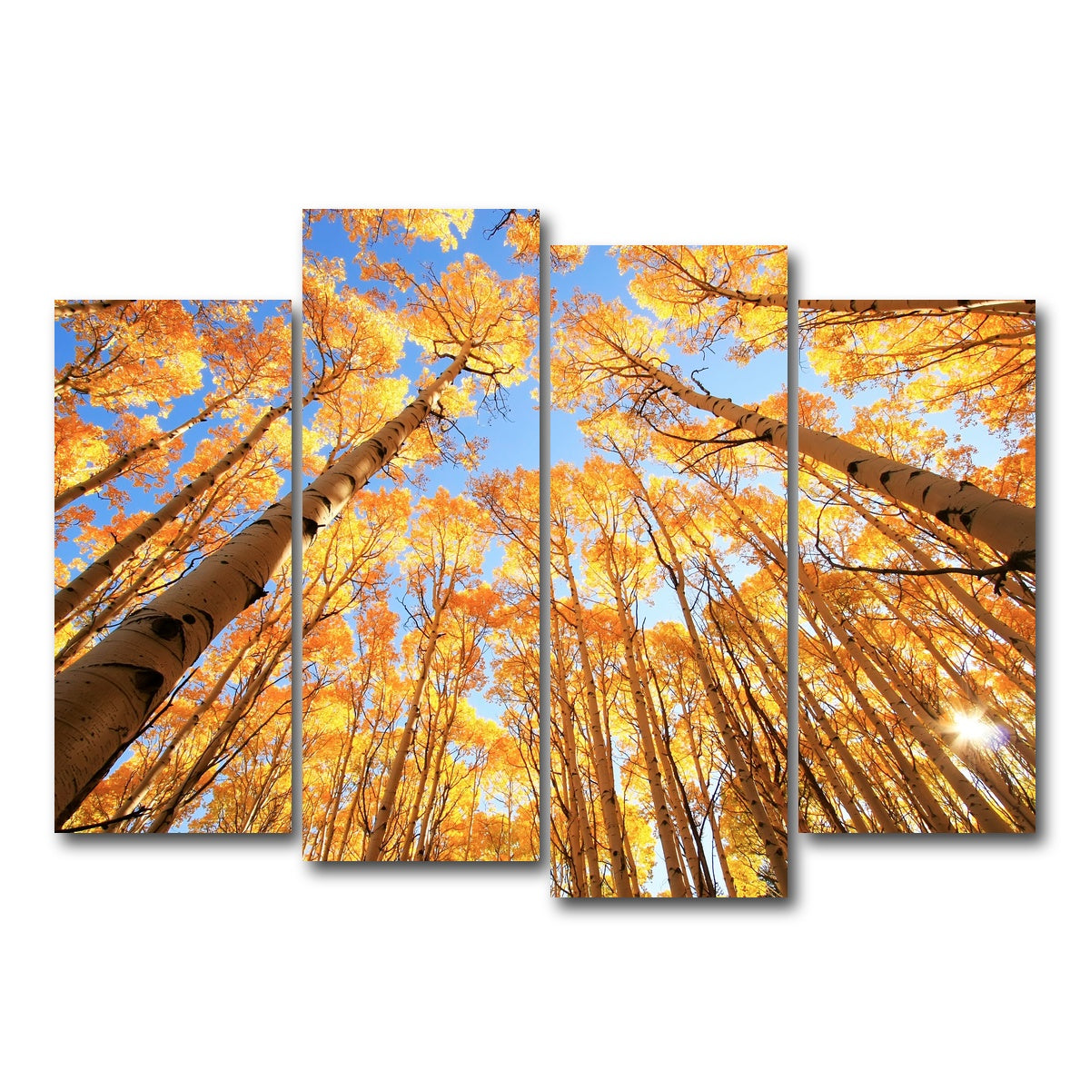 AUTO-MOCKUP WHITE | San Juan Aspens | 4 Piece | Gallery Wrap Canvas | group=4_normal
