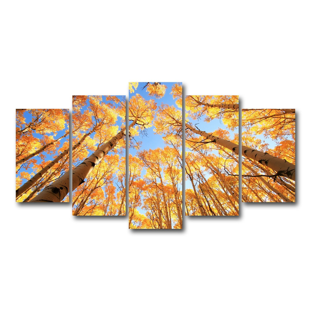 AUTO-MOCKUP WHITE | San Juan Aspens | 5 Piece | Gallery Wrap Canvas | group=5_normal