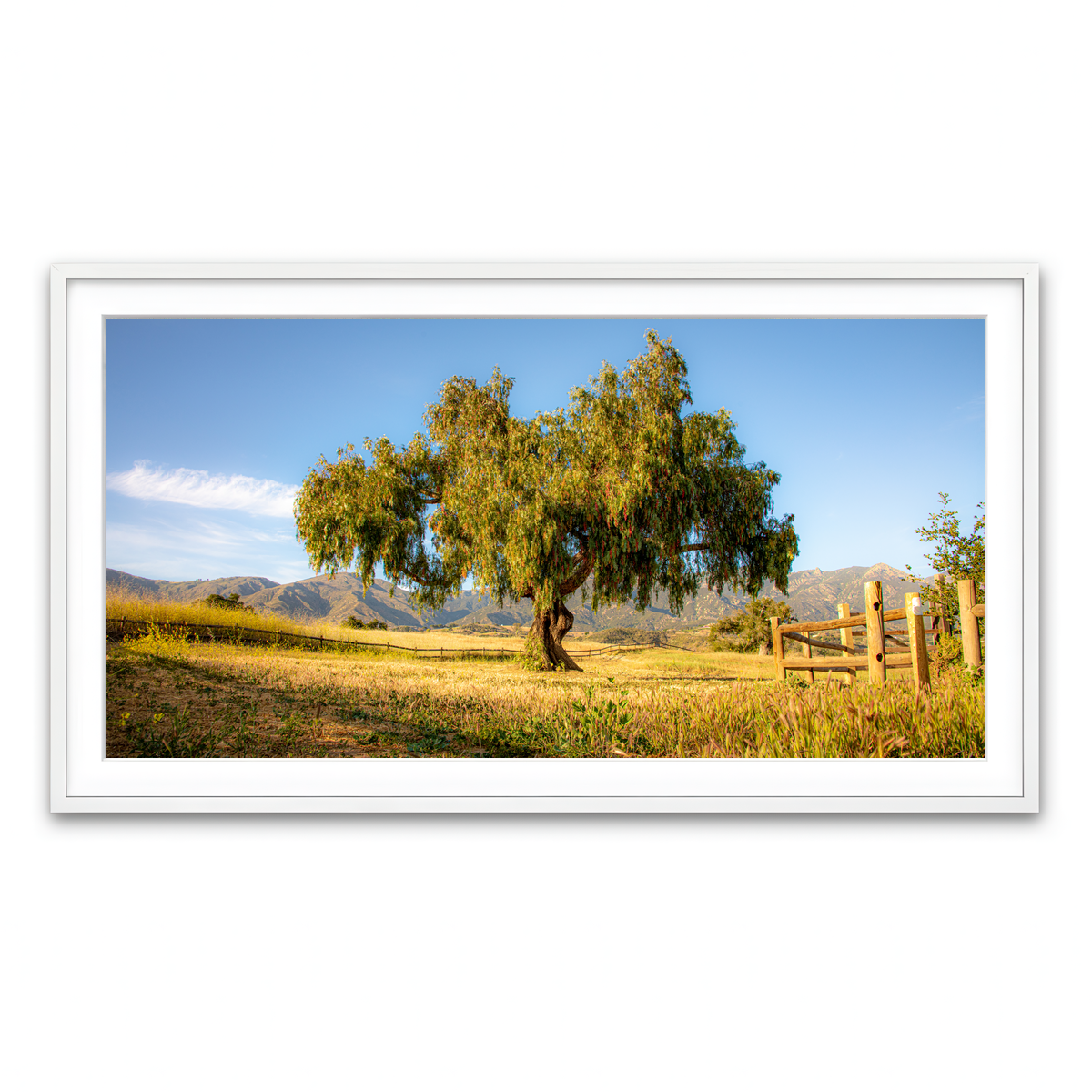 Framed Print 2x1 White