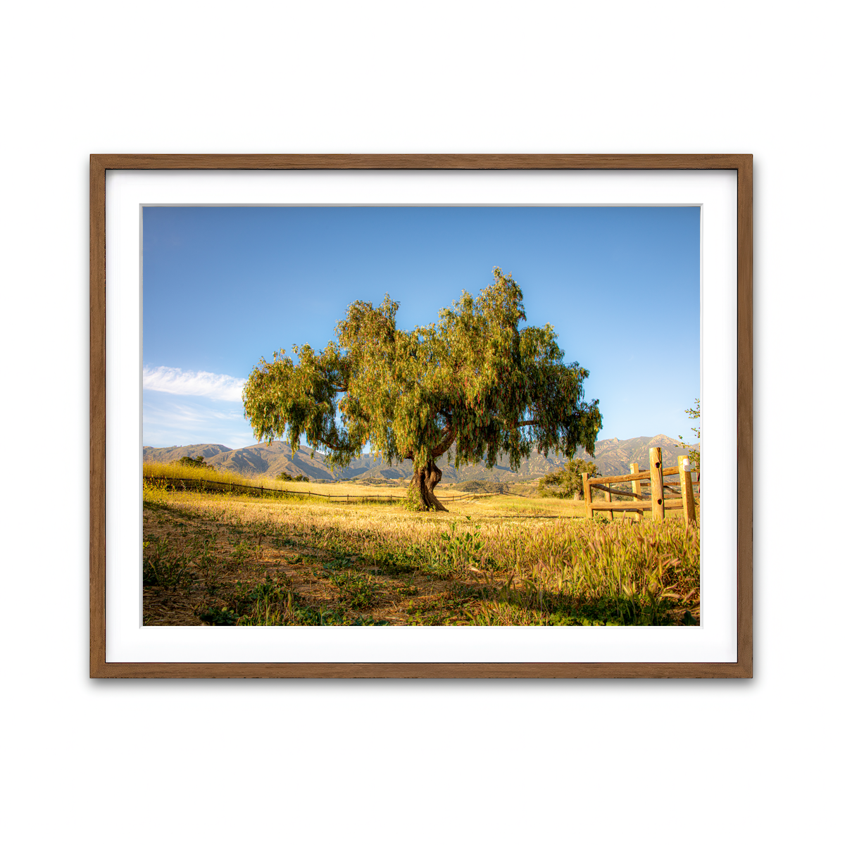 Framed Print 4x3 Walnut