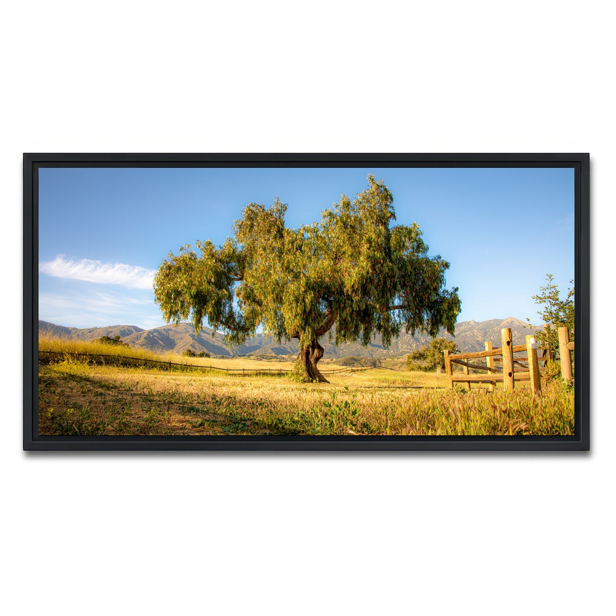 AUTO-MOCKUP WHITE | San Marcos Foothills | 1 Piece | Black Framed Canvas | group=2x1