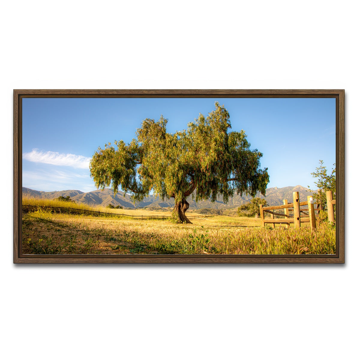 AUTO-MOCKUP WHITE | San Marcos Foothills | 1 Piece | Walnut Framed Canvas | group=2x1