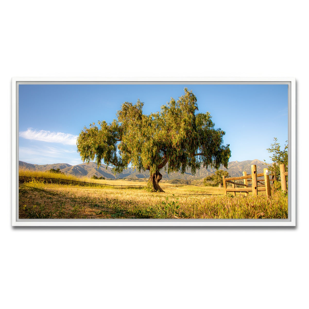 AUTO-MOCKUP WHITE | San Marcos Foothills | 1 Piece | White Framed Canvas | group=2x1