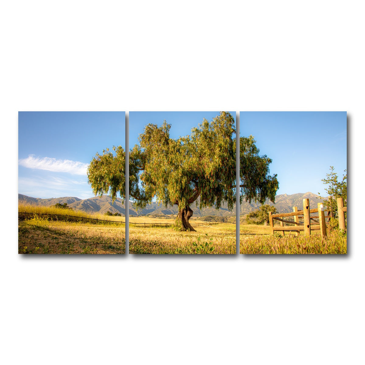 AUTO-MOCKUP WHITE | San Marcos Foothills | 3 Piece | Gallery Wrap Canvas | group=18x24
