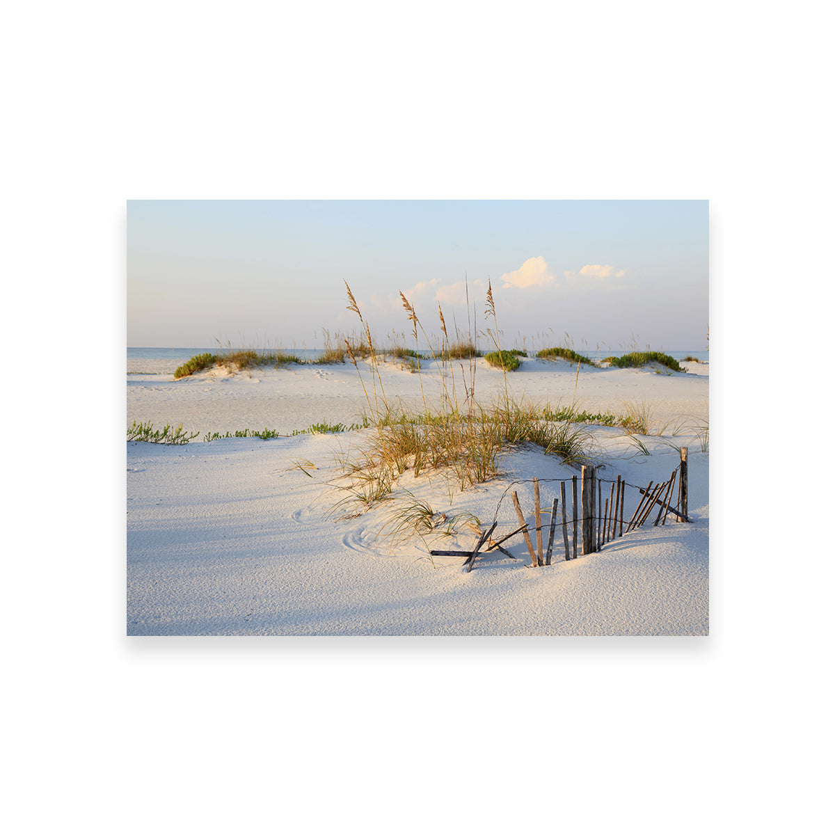 Sand Dunes and Sea Oats Wall Art