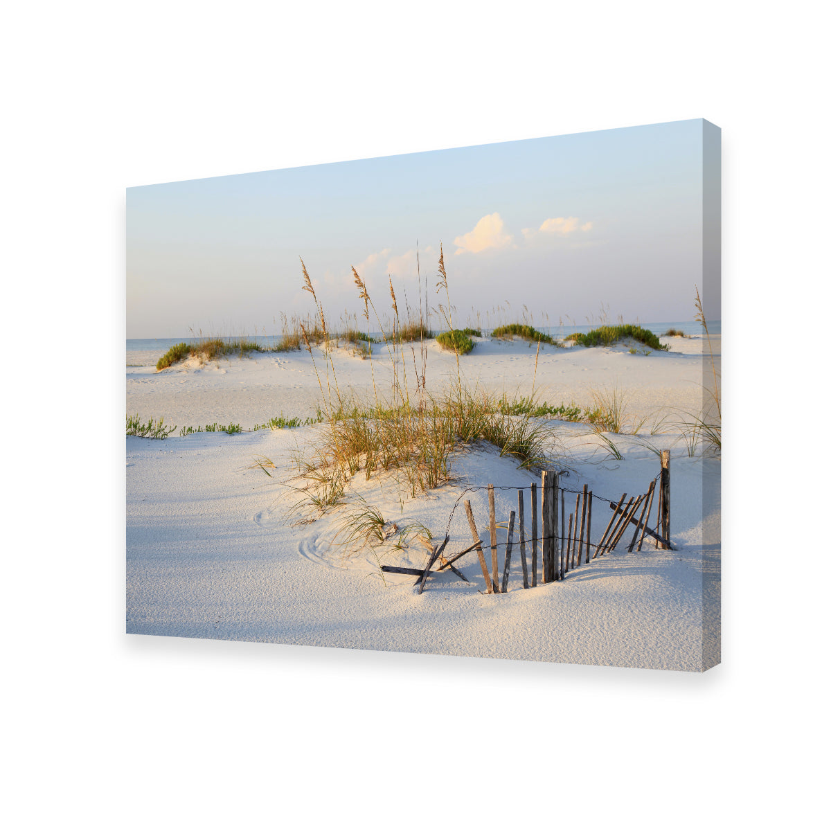 Sand Dunes and Sea Oats Wall Art