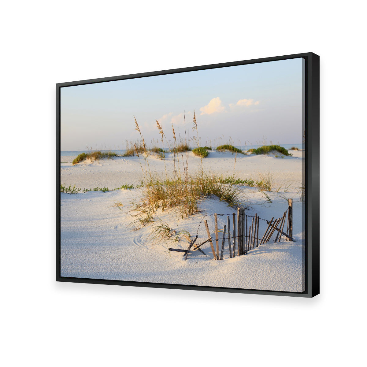 Sand Dunes and Sea Oats Wall Art