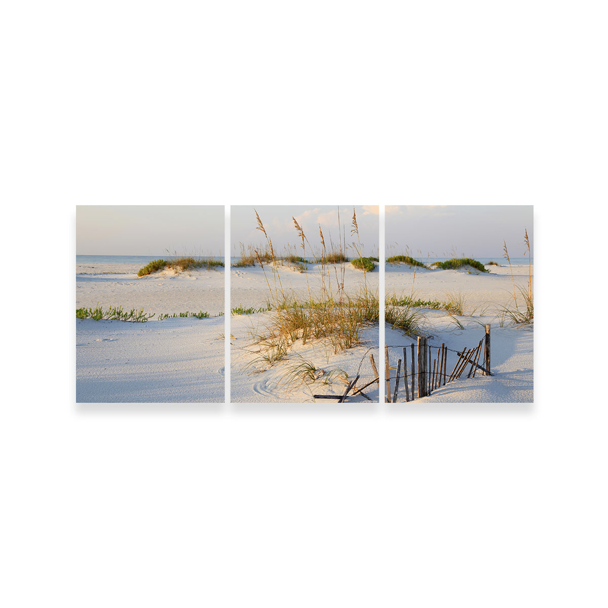Sand Dunes and Sea Oats Wall Art